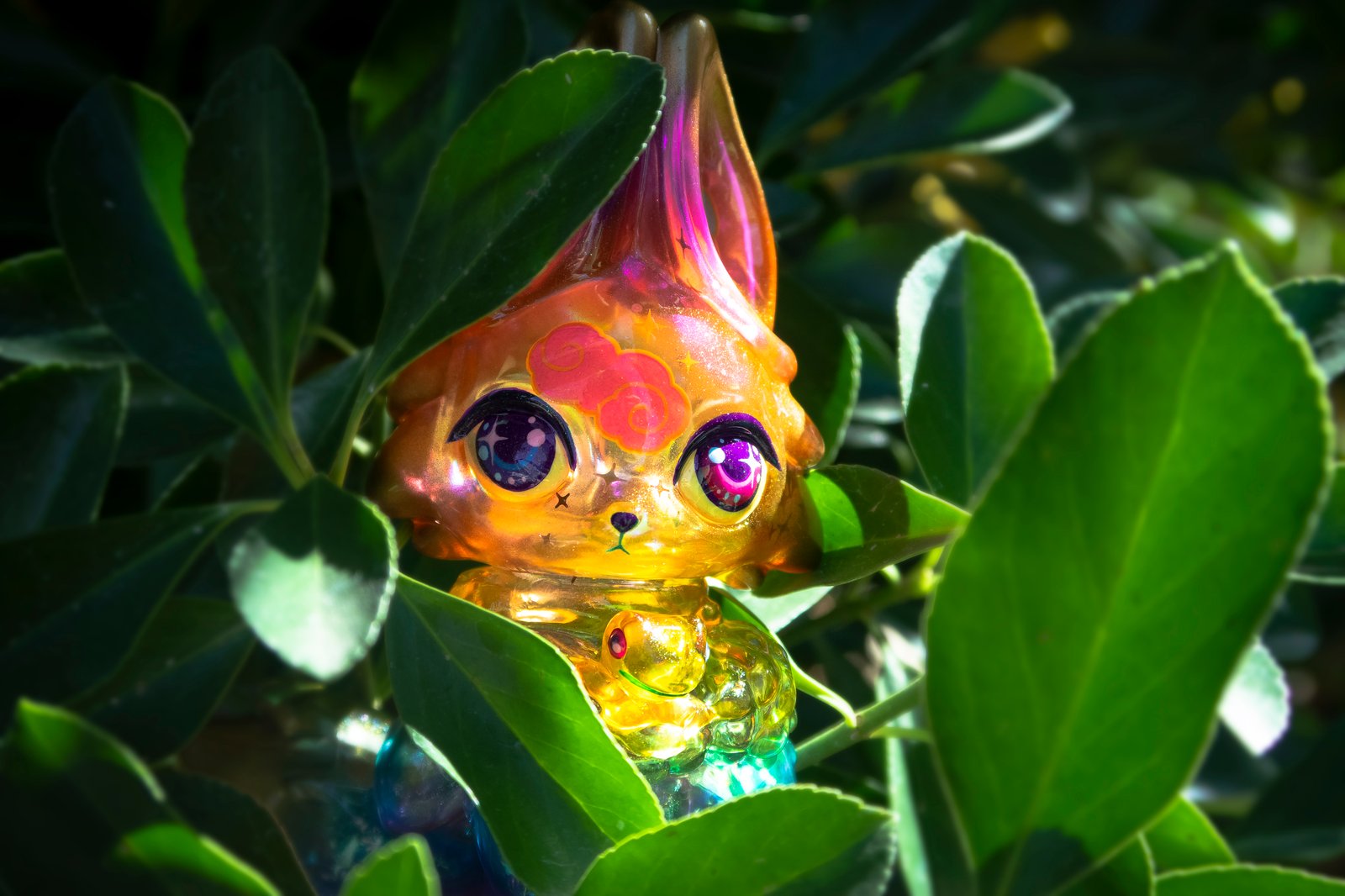 Rainbow Kuri AP | Candie Bolton